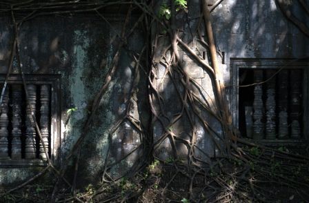 DSC_3246.jpg
